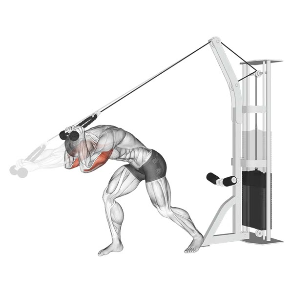 Horizontal Extension on High Pulley Hammer — ejercicio de Tríceps, nivel Intermedio