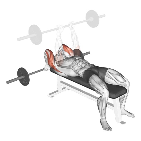 Horizontal Extension with Bar — ejercicio de General, nivel Intermedio