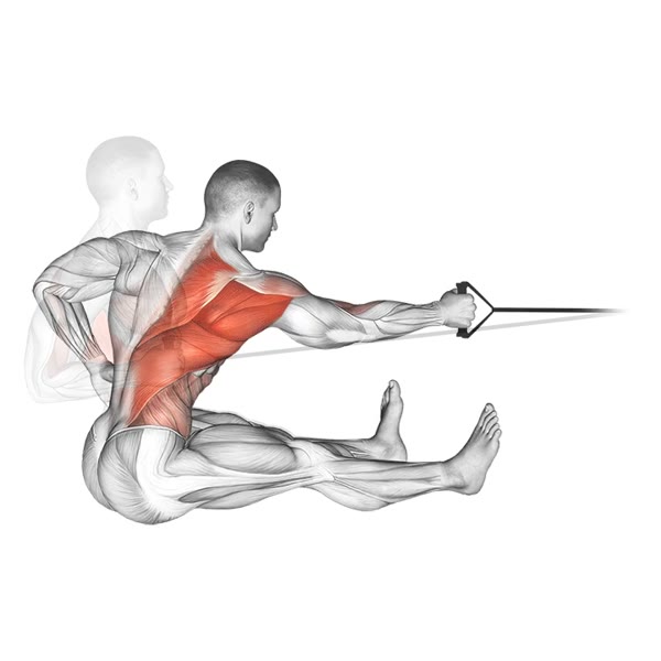 Horizontal Isolated Oar with Band — ejercicio de General, nivel Intermedio