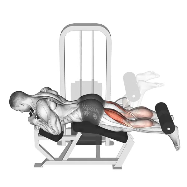 Horizontal Leg Curl on Machine — ejercicio de Pierna, nivel Principiante