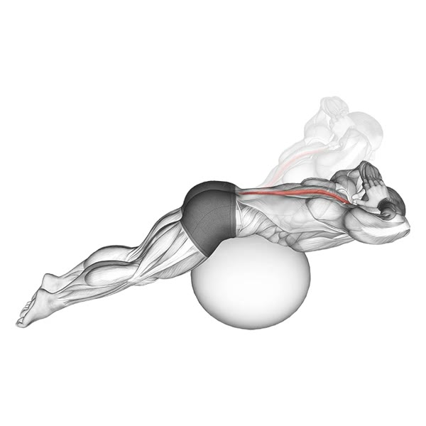 Hyperextensions on a Fitball — ejercicio de Espalda baja, nivel Intermedio