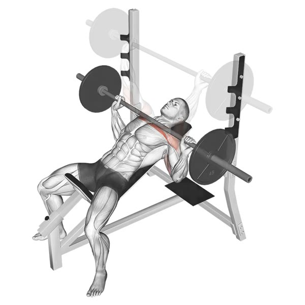 Incline Barbell Press — ejercicio de Tríceps, nivel Intermedio