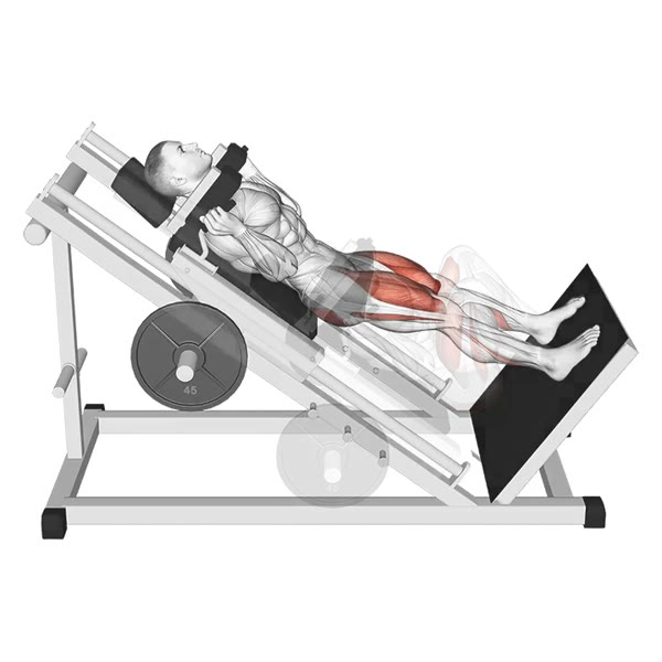 Incline Close Squat on Machine — ejercicio de Pierna, nivel Intermedio