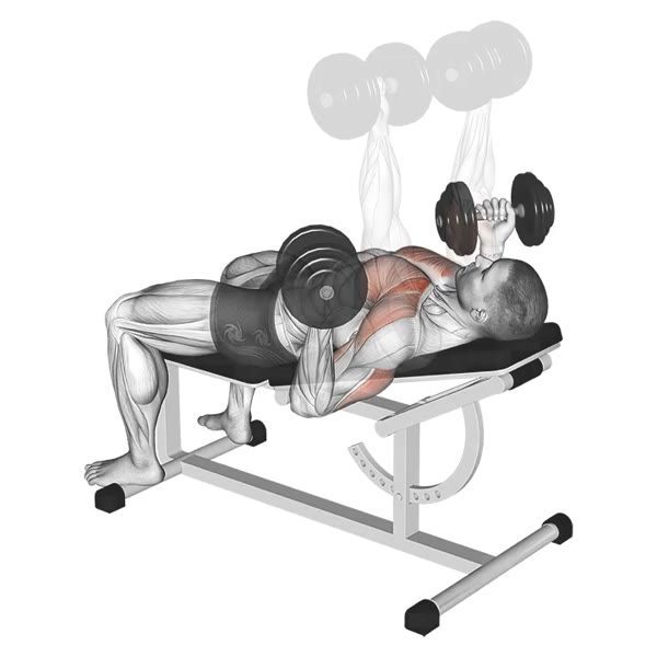 Incline Dumbbell Press with Supination and Twist — ejercicio de Abdomen, nivel Intermedio