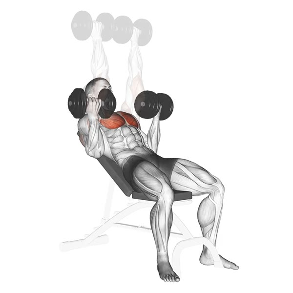 Incline Dumbbell Press with Supination — ejercicio de General, nivel Intermedio