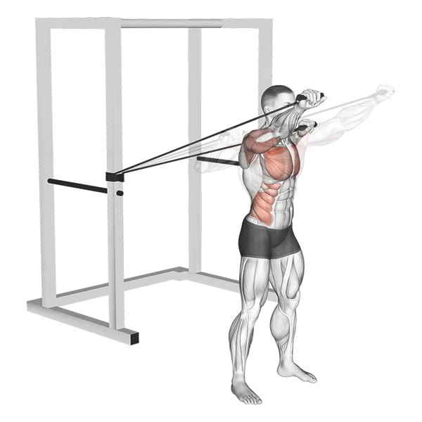 Incline Front Press with Bands — ejercicio de General, nivel Intermedio