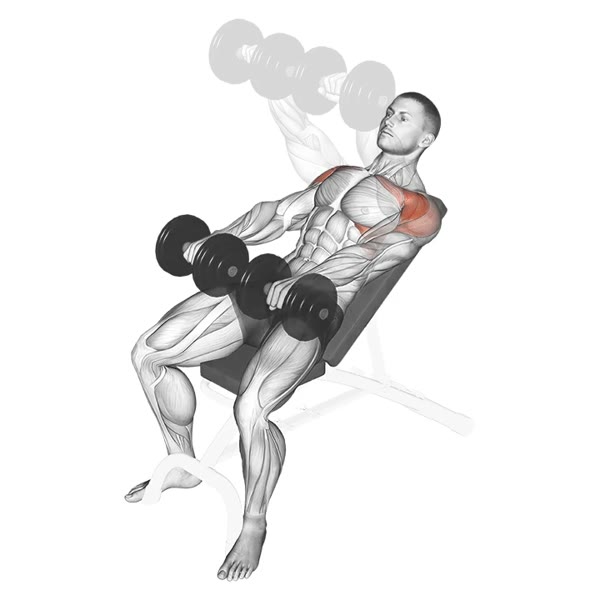 Incline Front Raises with Pronated Grip and Dumbbells — ejercicio de Hombros, nivel Intermedio