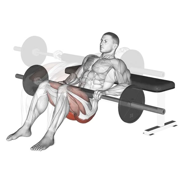 Incline Hip Thrust with Barbell — ejercicio de Pierna, nivel Intermedio