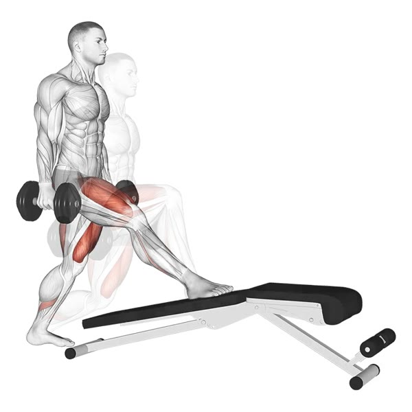 Incline lunge squat with dumbbells — ejercicio de Pierna, nivel Intermedio