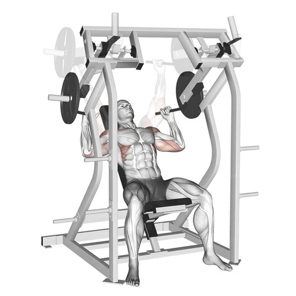 Incline Pronated Military Press on Machine — ejercicio de Hombros, nivel Intermedio
