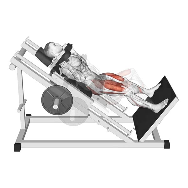 Incline Sumo Squat on Machine — ejercicio de Pierna, nivel Intermedio