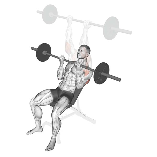 Incline Supinated Barbell Press — ejercicio de Tríceps, nivel Intermedio
