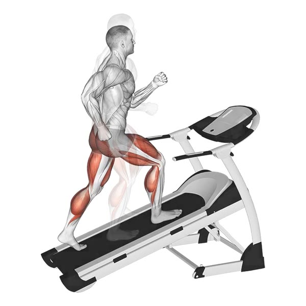Incline Treadmill Running — ejercicio de Cardio, nivel Intermedio