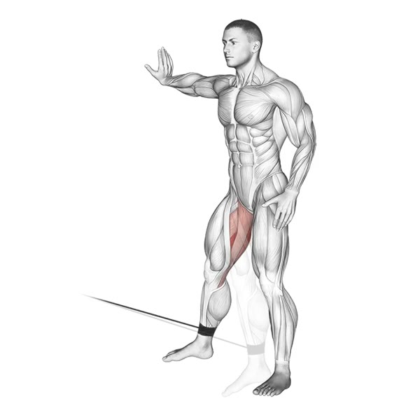 Internal Adductor at Low Pulley — ejercicio de Glúteos, nivel Intermedio