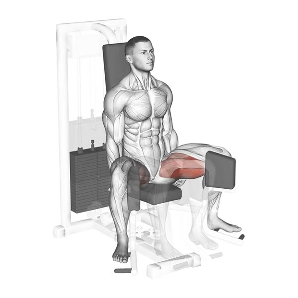 Internal Adductor in Machine — ejercicio de Glúteos, nivel Intermedio