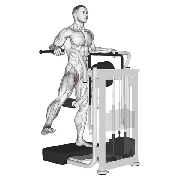 Internal Adductor Isolated in Machine — ejercicio de Glúteos, nivel Intermedio