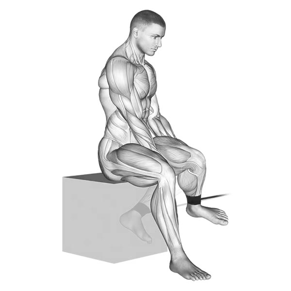 Internal Hip Rotation with Band — ejercicio de General, nivel Intermedio