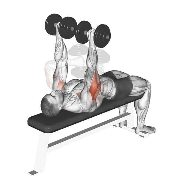 Internal Horizontal Extensions with Dumbbells — ejercicio de General, nivel Intermedio