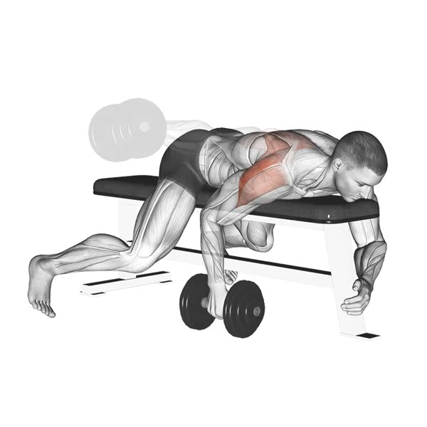 Isolated Birds with Dumbbell — ejercicio de General, nivel Intermedio