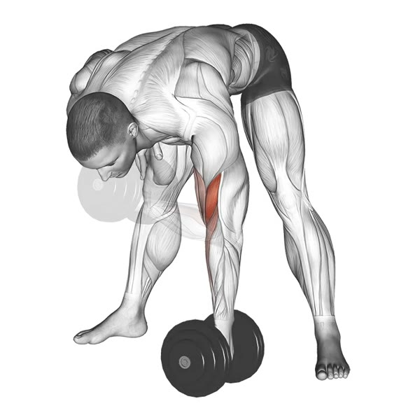 Isolated Downward Dumbbell Curl — ejercicio de Bíceps, nivel Intermedio