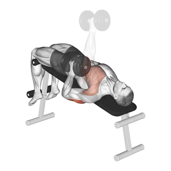 Isolated Dumbbell Decline Press — ejercicio de Pecho, nivel Intermedio