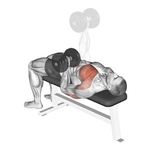 Isolated Dumbbell Supinated Bench Press — ejercicio de Pecho, nivel Intermedio