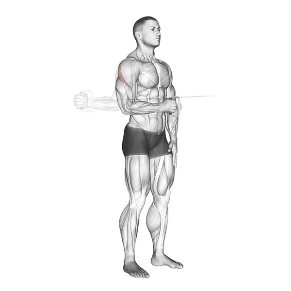 Isolated External Rotation on a Pulley — ejercicio de Hombros, nivel Intermedio