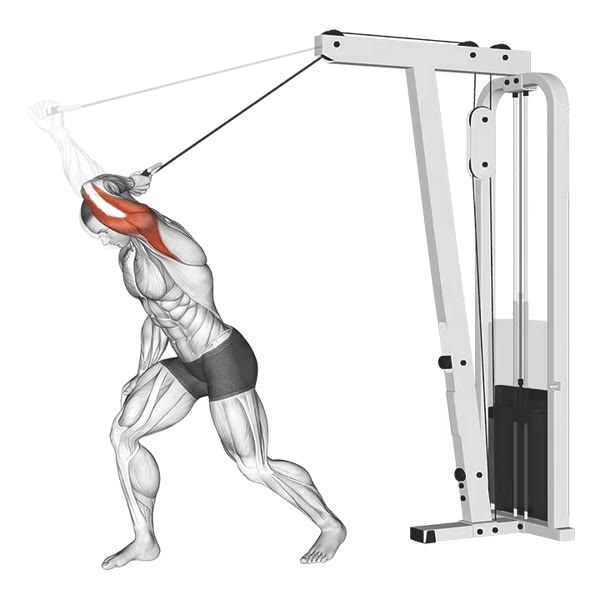 Isolated Front Extension on High Pulley — ejercicio de Tríceps, nivel Intermedio
