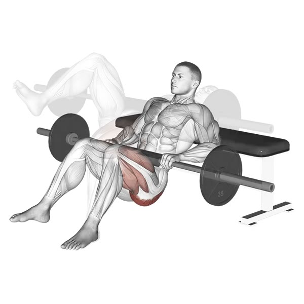 Isolated Hip Thrust with Bar — ejercicio de Pierna, nivel Intermedio
