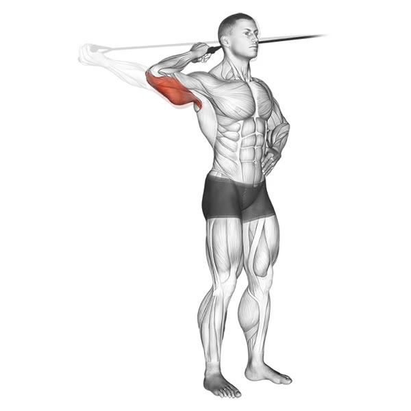 Isolated Lateral Extension with Band — ejercicio de Tríceps, nivel Intermedio
