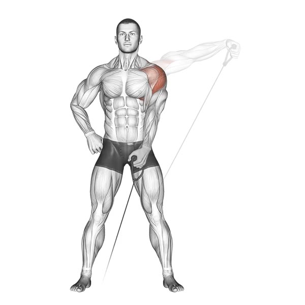 Isolated Lateral Pulley Lift — ejercicio de General, nivel Intermedio