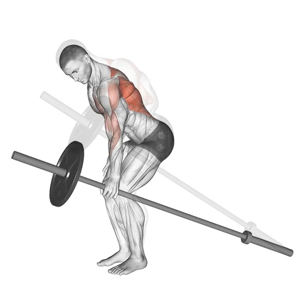 Isolated Oar with Bar — ejercicio de General, nivel Intermedio