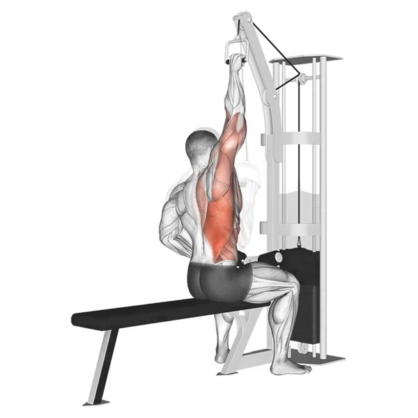 Isolated Prone Neutral Pulldown on High Pulley — ejercicio de Espalda, nivel Intermedio