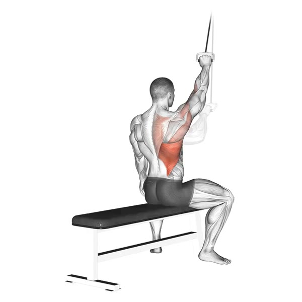 Isolated Pull Up on High Pulley — ejercicio de Espalda, nivel Intermedio