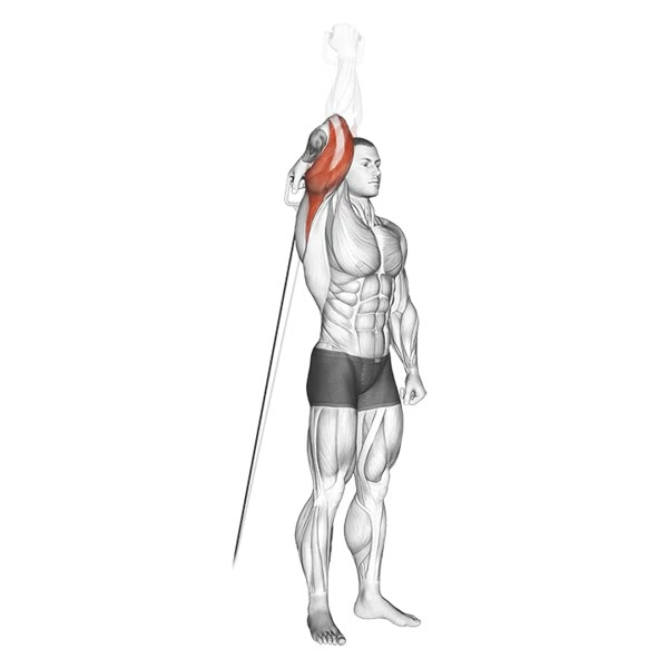 Isolated Vertical Extension in Pronation on Low Pulley — ejercicio de General, nivel Intermedio
