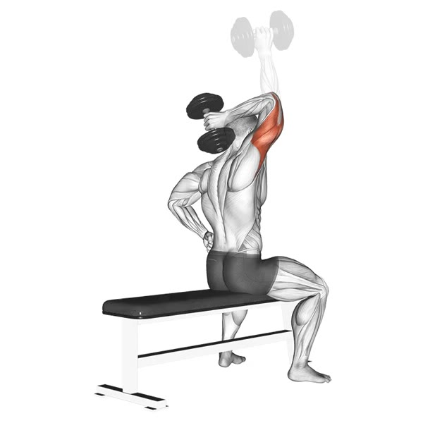 Isolated Vertical Extension with Dumbbell — ejercicio de Tríceps, nivel Intermedio