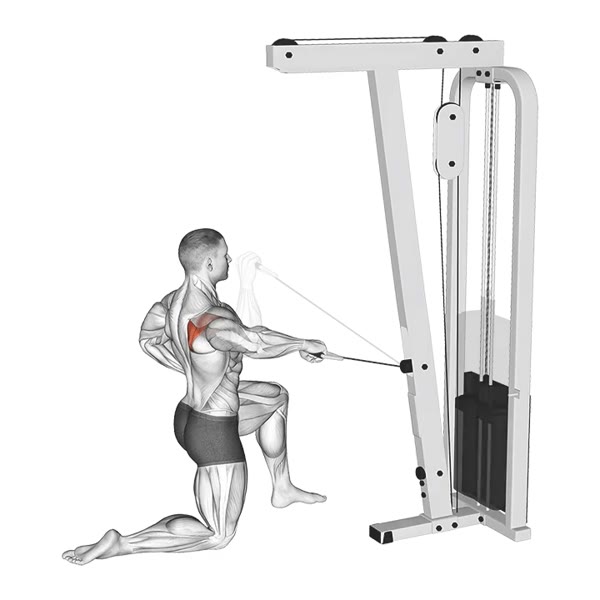 Isolated Vertical Rotation on a Pulley — ejercicio de General, nivel Intermedio