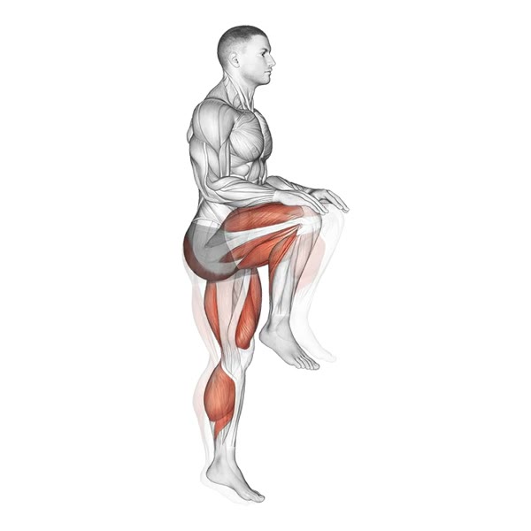 Knee raises — ejercicio de General, nivel Intermedio
