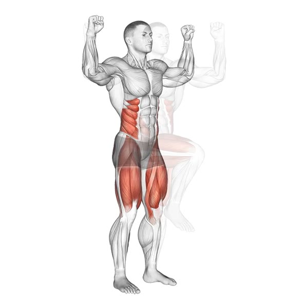 Knee to elbow with twist — ejercicio de Abdomen, nivel Intermedio