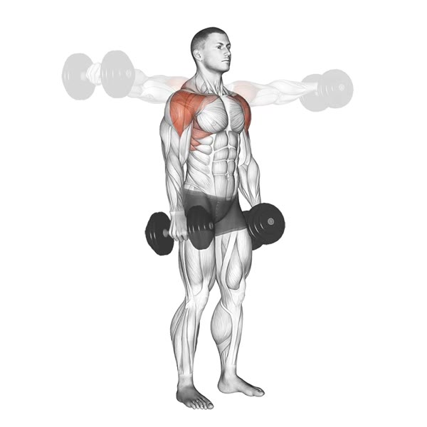 Lateral and Frontal Dumbbell Raises — ejercicio de General, nivel Intermedio