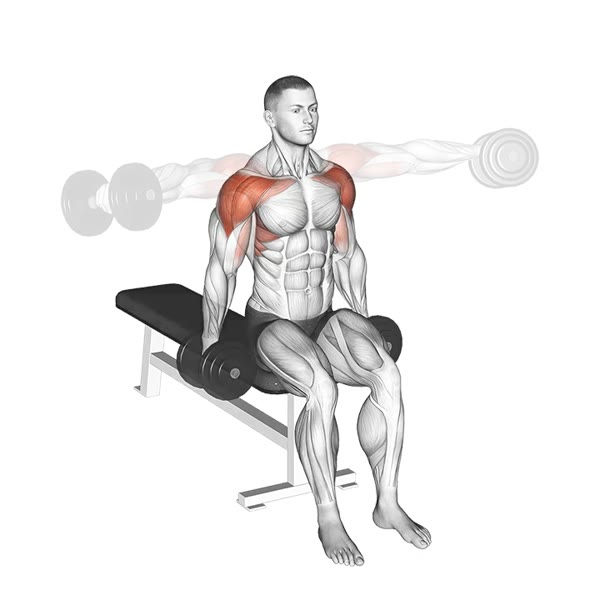Lateral and Frontal High Raises with Dumbbells — ejercicio de General, nivel Intermedio