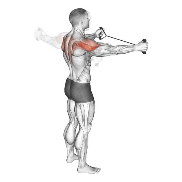 Lateral Extensions with Band — ejercicio de General, nivel Intermedio