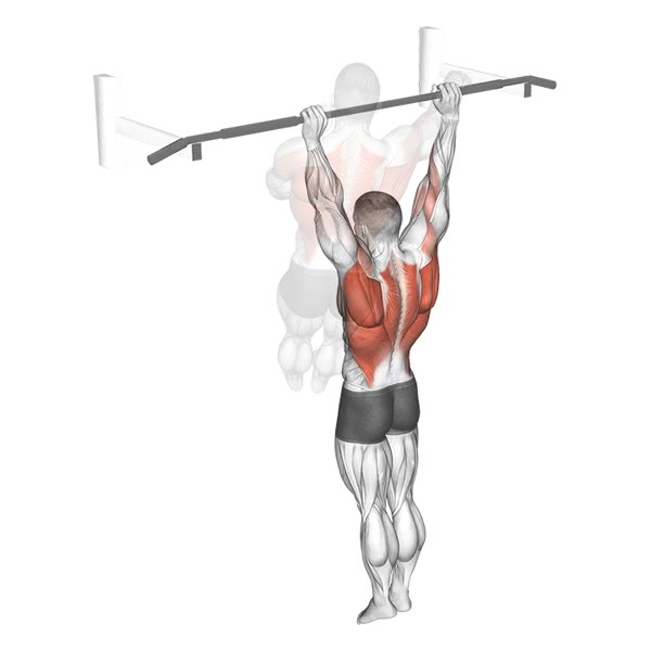 Lateral Pull Up — ejercicio de Espalda, nivel Avanzado