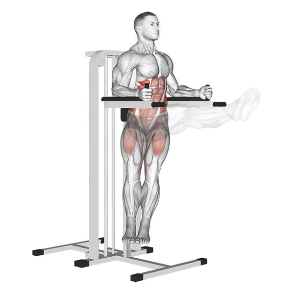 Leg raises with twist on support — ejercicio de Abdomen, nivel Intermedio