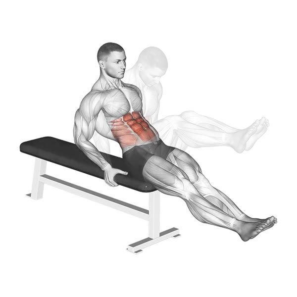 Lower crunch while seated on a bench — ejercicio de Abdomen, nivel Intermedio