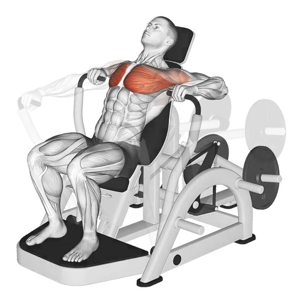 Lower Front Press on Machine — ejercicio de General, nivel Intermedio