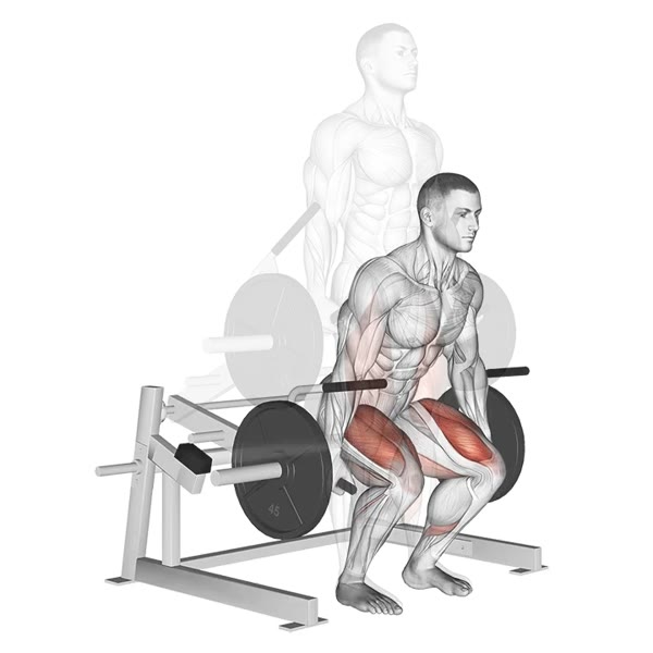 Machine Squat — ejercicio de Pierna, nivel Intermedio