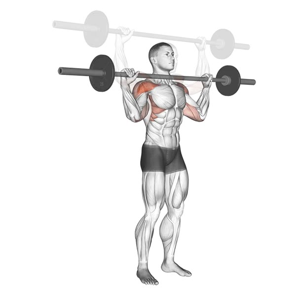 Mixed Military Press with Barbell — ejercicio de Hombros, nivel Intermedio
