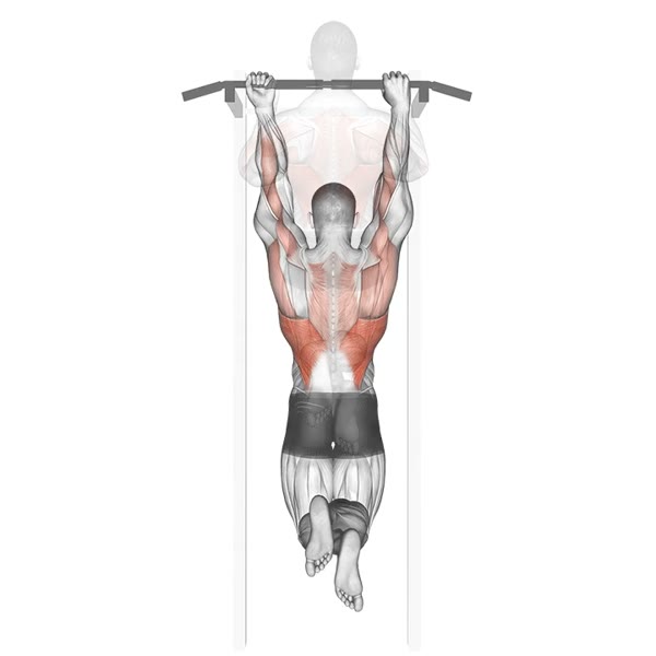Mixed Pull Up — ejercicio de Espalda, nivel Intermedio