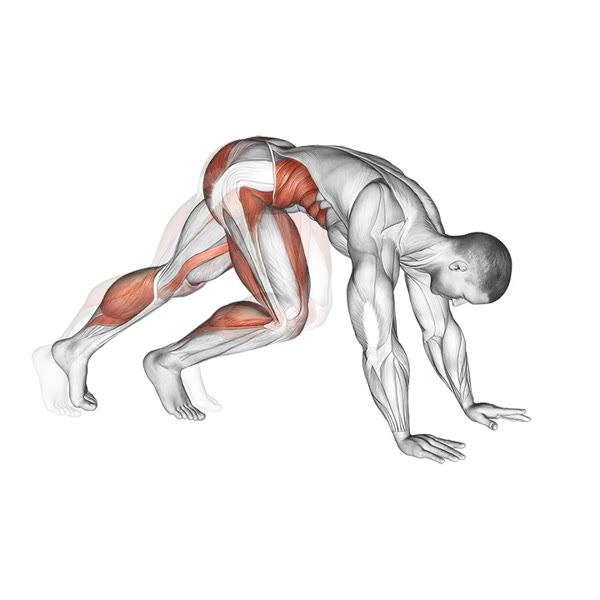 Mountain Climbers — ejercicio de Abdomen, nivel Intermedio